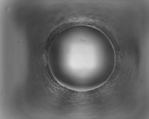 X0000075841493200609151250