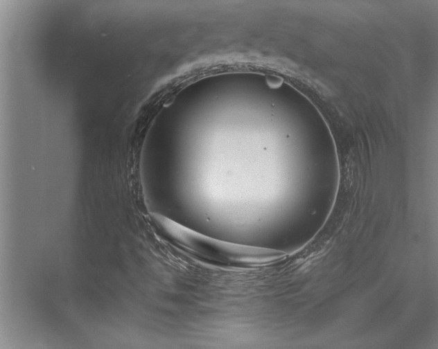 X0000075841494200609151251