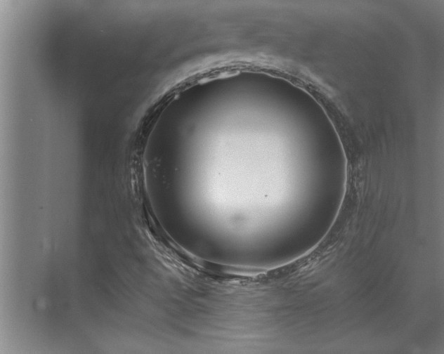 X0000075841496200609151251