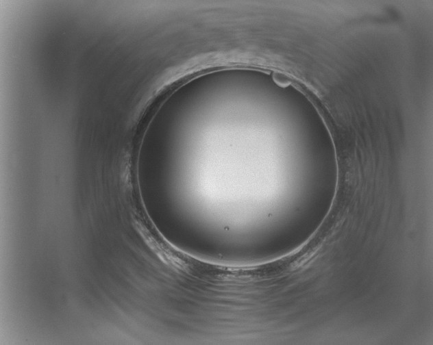 X0000075841499200609151251