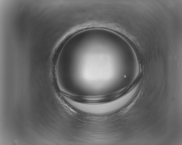 X0000075841502200609151251