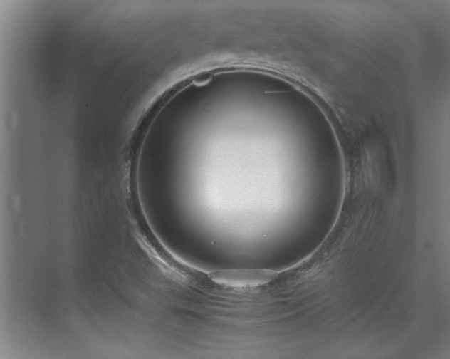 X0000075841503200609151251