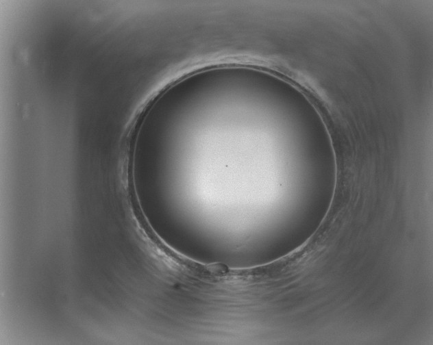 X0000075841504200609151251