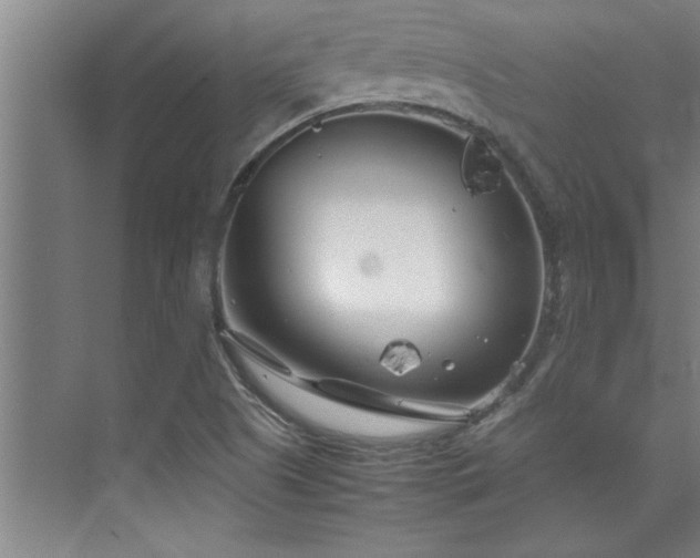 X0000075841505200609151251