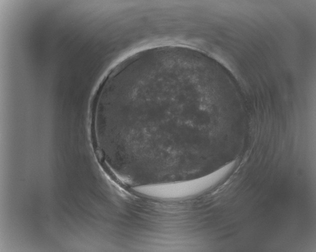 X0000075841508200609151251