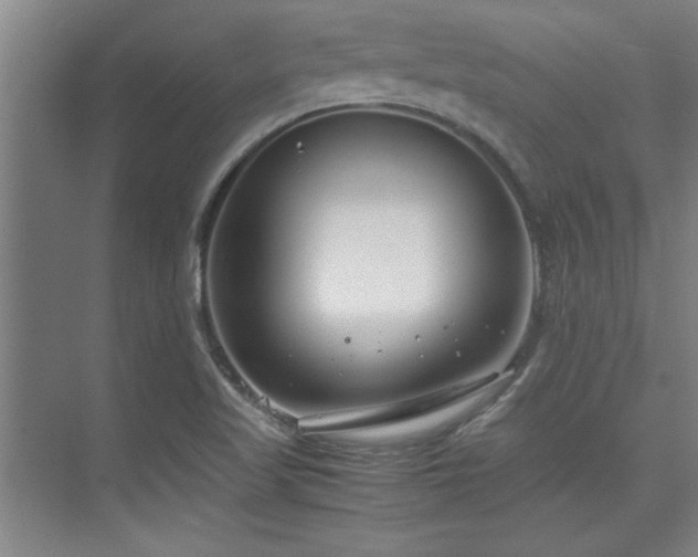 X0000075841509200609151251