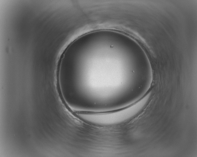 X0000075841512200609151251