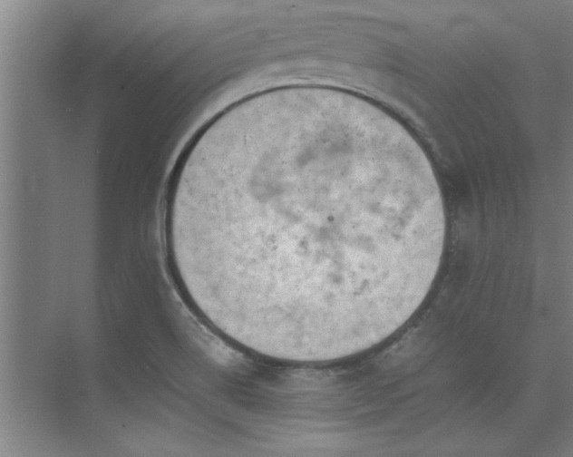 X0000075841514200609151251