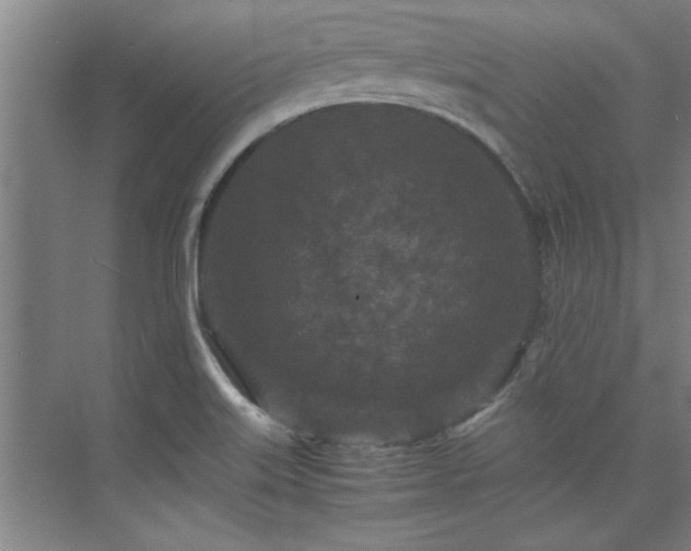 X0000075841515200609151251