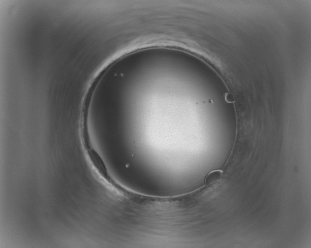 X0000075841518200609151251