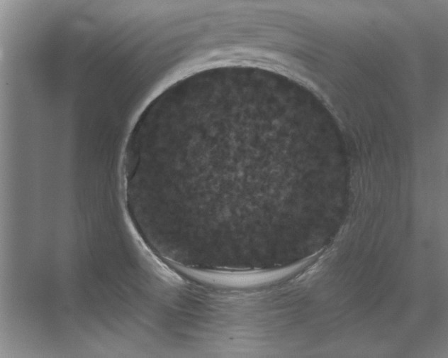 X0000075841522200609151251