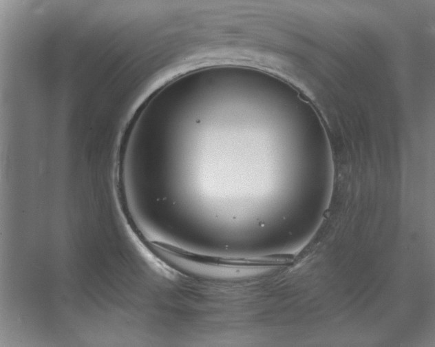 X0000075841523200609151251