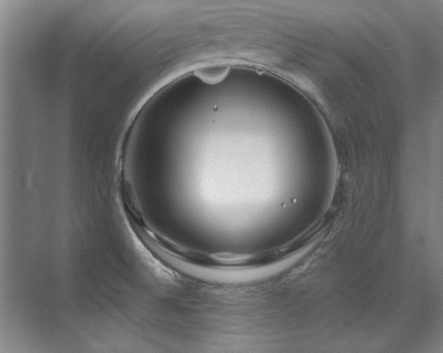 X0000075841524200609151251