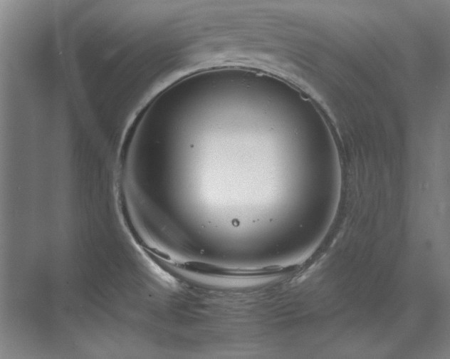 X0000075841525200609151251