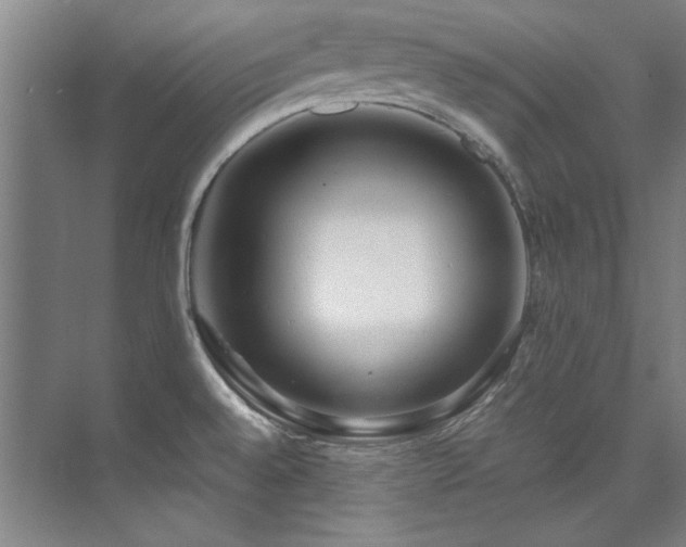 X0000075841528200609151251