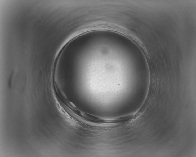 X0000075841530200609151251