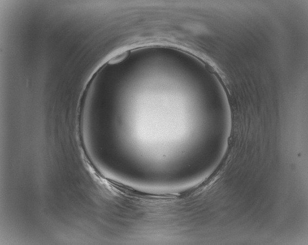 X0000075841534200609151251