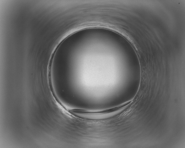 X0000075841535200609151251