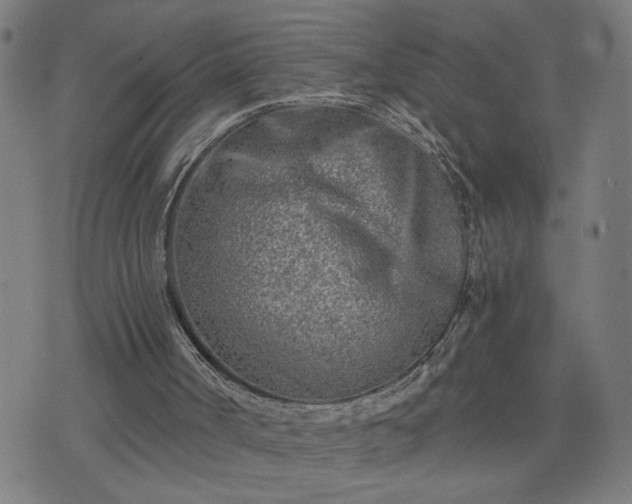 X0000075840002200609221717