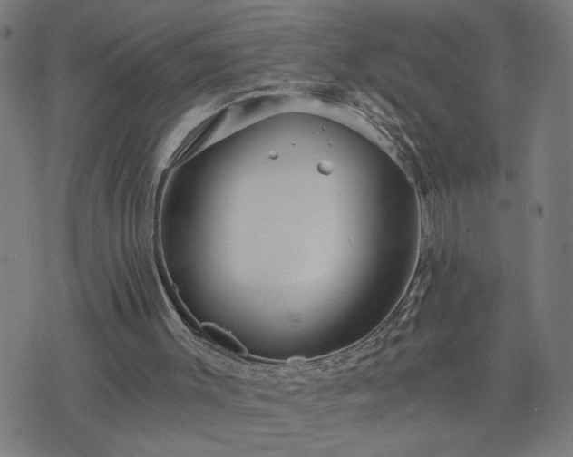 X0000075840003200609221717