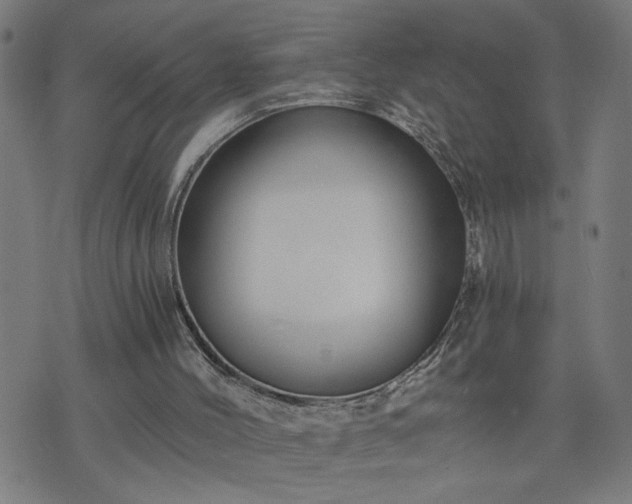 X0000075840004200609221717