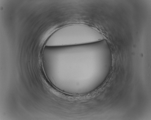 X0000075840005200609221717