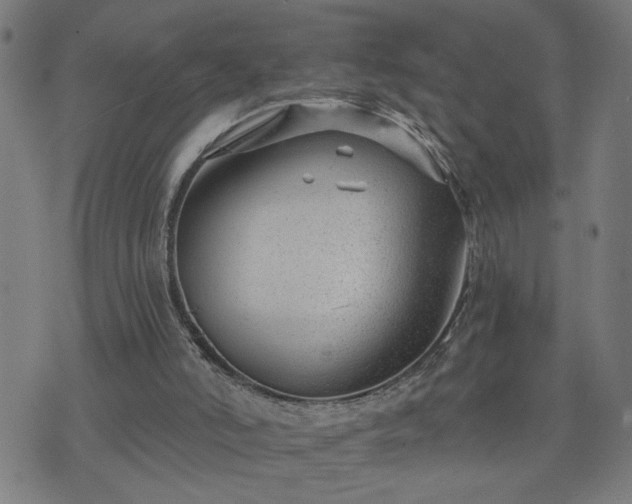 X0000075840006200609221717