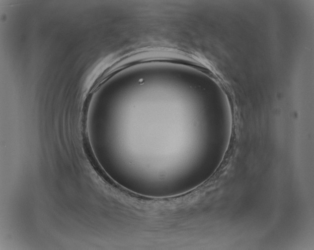 X0000075840007200609221717