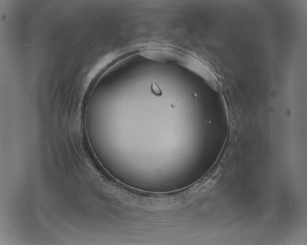 X0000075840008200609221717