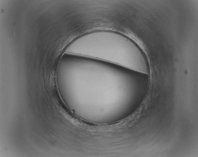 X0000075840009200609221717