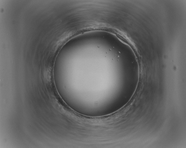 X0000075840010200609221717