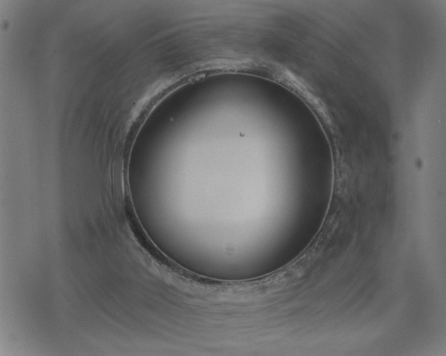 X0000075840011200609221717