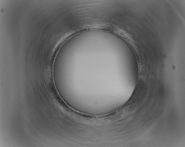 X0000075840012200609221717