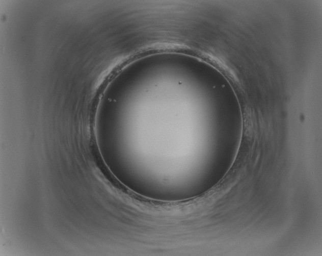 X0000075840015200609221717