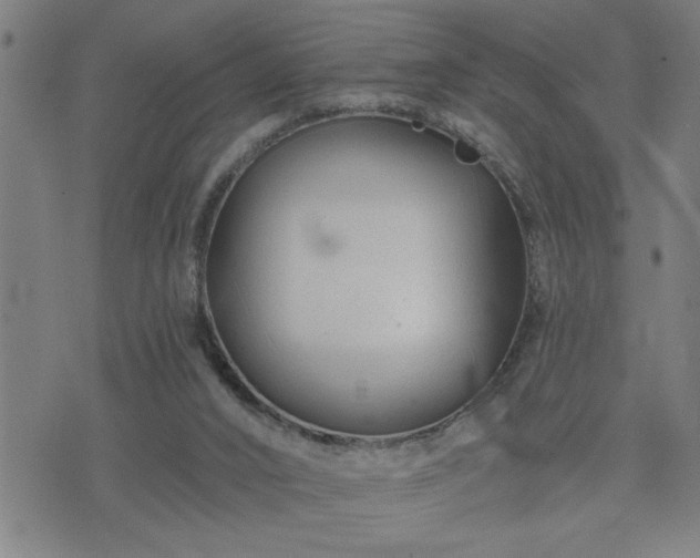 X0000075840016200609221716