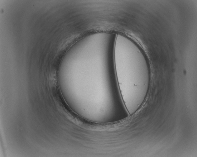 X0000075840017200609221716