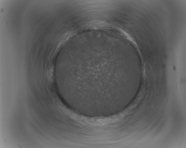 X0000075840018200609221716