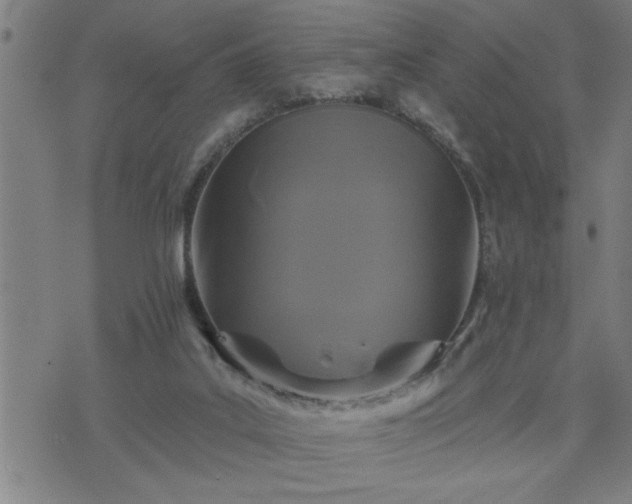 X0000075840019200609221716