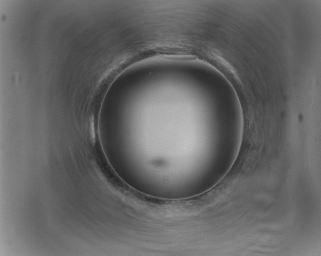 X0000075840020200609221716