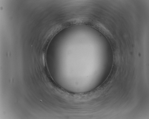 X0000075840022200609221716