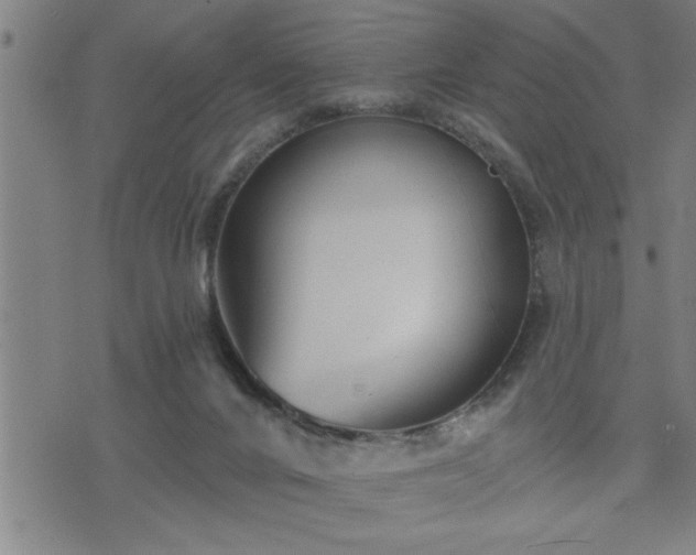 X0000075840024200609221716