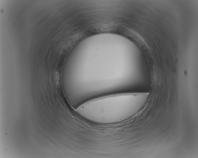 X0000075840025200609221716