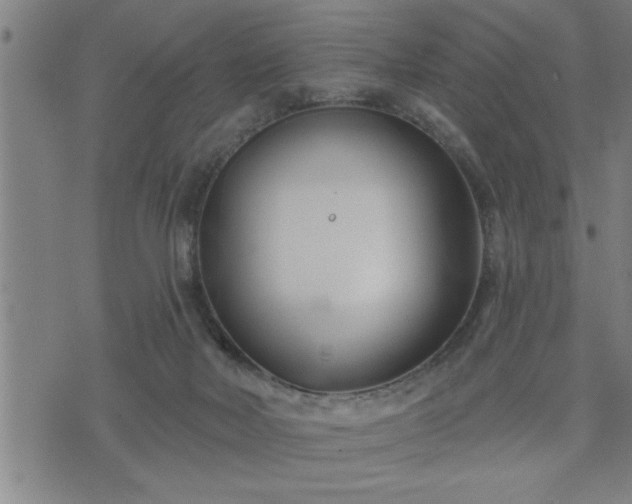 X0000075840026200609221716