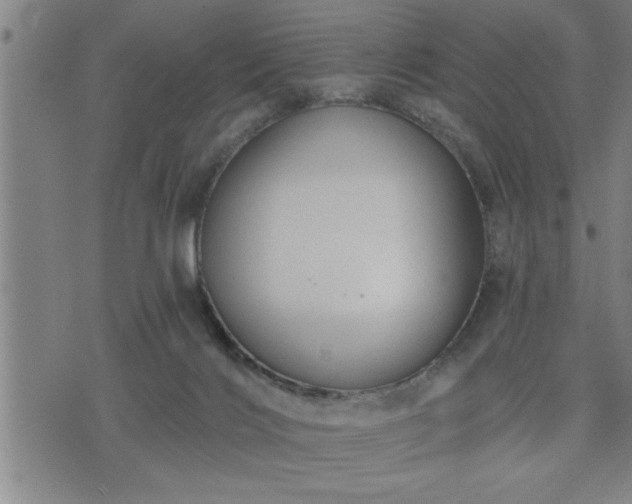 X0000075840028200609221716