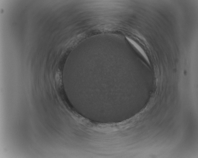 X0000075840029200609221716