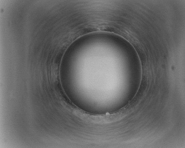 X0000075840030200609221716