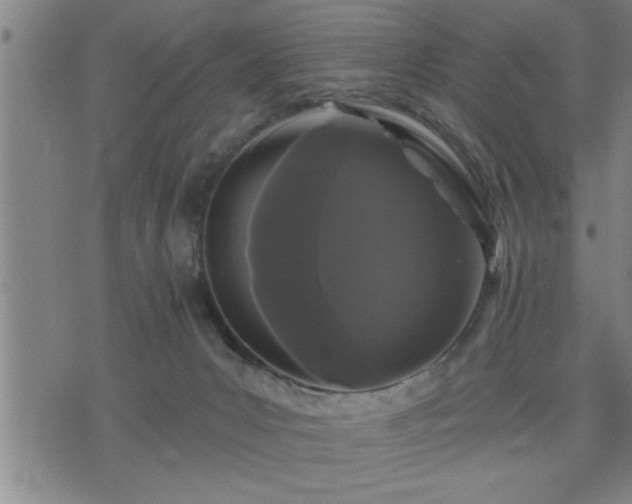 X0000075840031200609221716