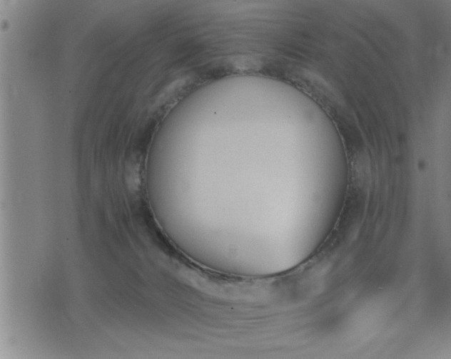 X0000075840032200609221716