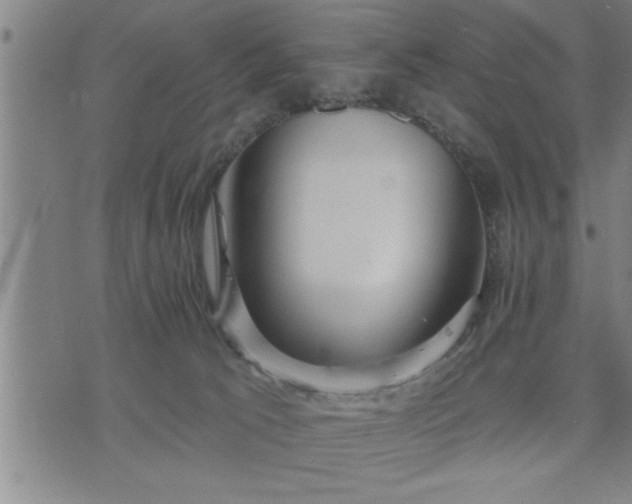 X0000075840033200609221716