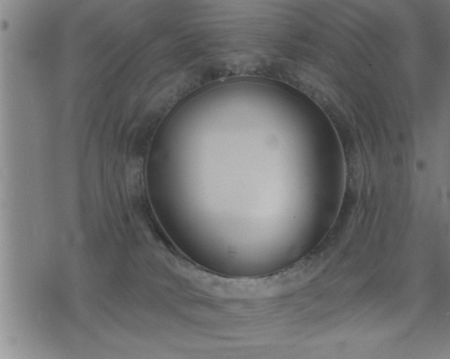 X0000075840034200609221716